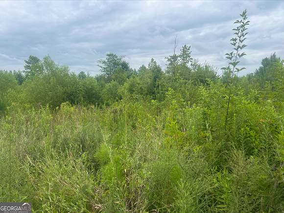 10 Acres of Residential Land for Sale in Muscadine, Alabama