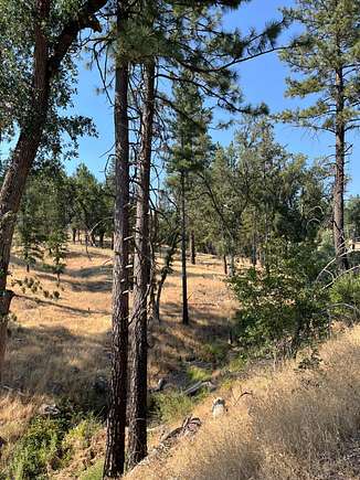 5.94 Acres of Residential Land for Sale in Mountain Ranch, California