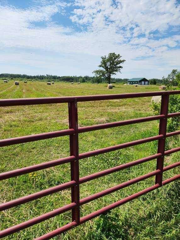20 Acres of Improved Agricultural Land for Sale in Sault Ste. Marie, Michigan
