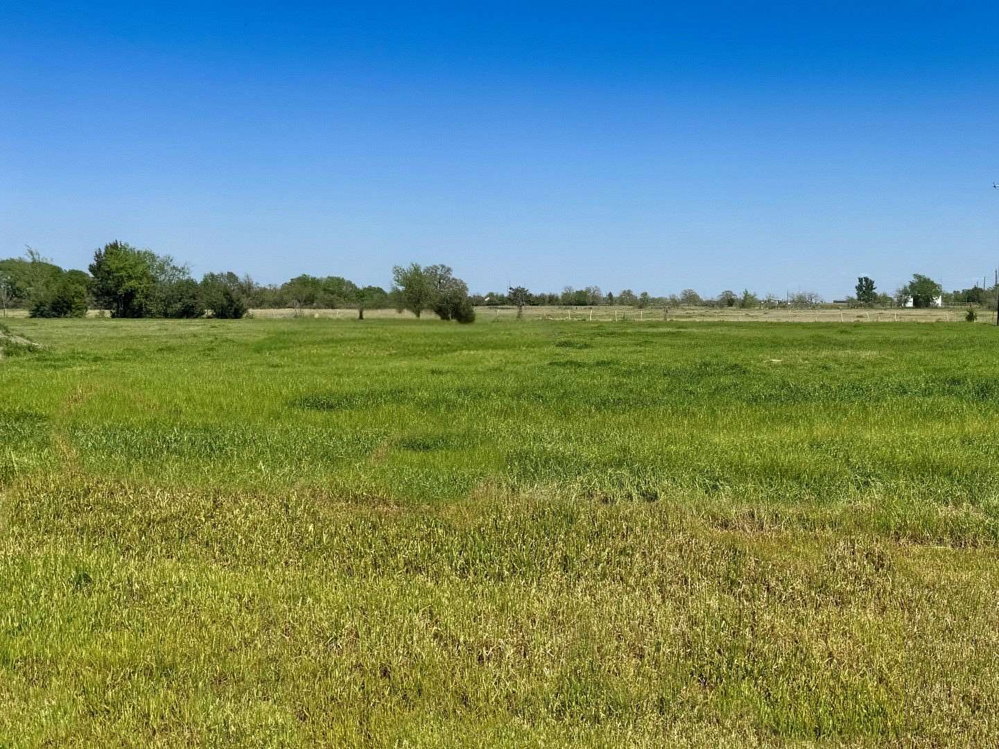 1 Acre of Residential Land for Sale in Iola, Texas