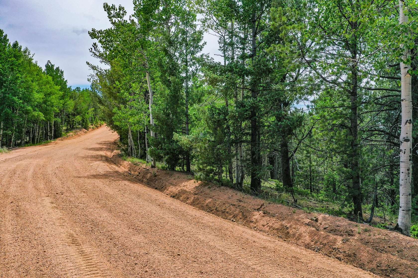 0.62 Acres of Residential Land for Auction in Divide, Colorado