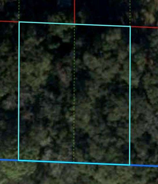 0.28 Acres of Residential Land for Sale in Williston, Florida