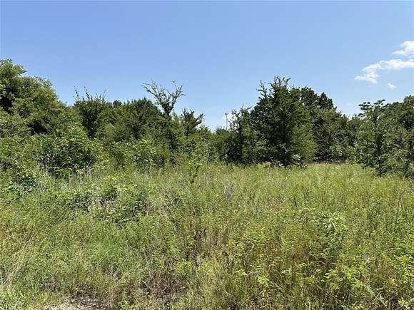 0.15 Acres of Residential Land for Sale in Wills Point, Texas