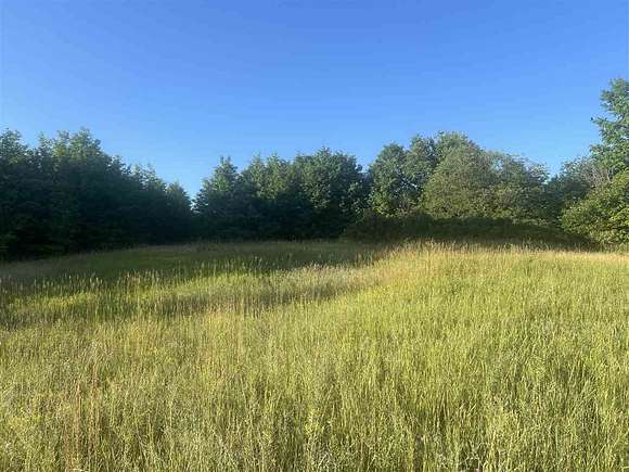 80 Acres of Recreational Land for Sale in Bellaire, Michigan