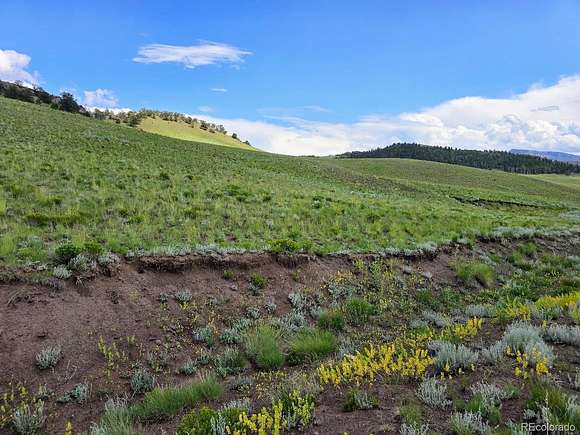 5.3 Acres of Residential Land for Sale in Hartsel, Colorado