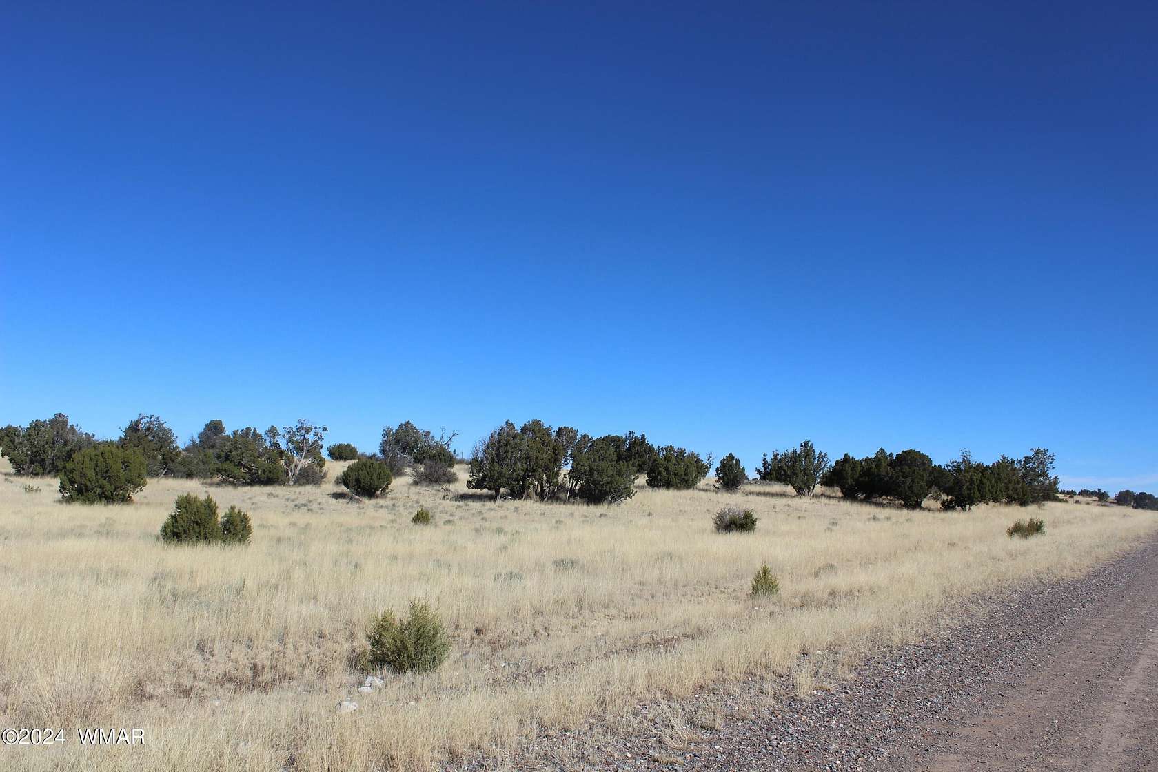 7.01 Acres of Residential Land for Sale in Concho, Arizona