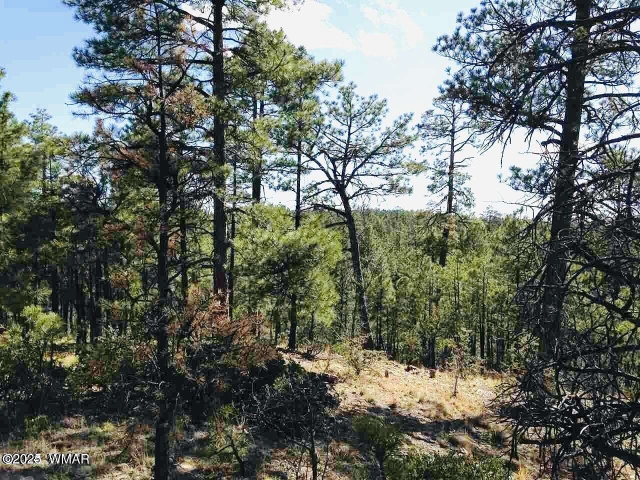 1 Acre of Residential Land for Sale in Show Low, Arizona