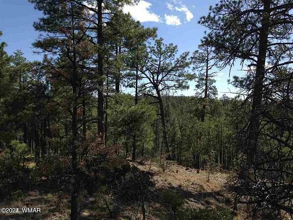 1 Acre of Residential Land for Sale in Show Low, Arizona