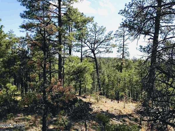 1 Acre of Residential Land for Sale in Show Low, Arizona