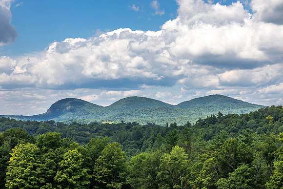 62.8 Acres of Agricultural Land with Home for Sale in Danby, Vermont