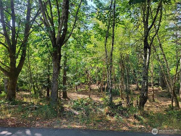 3.27 Acres of Residential Land for Sale in Grapeview, Washington