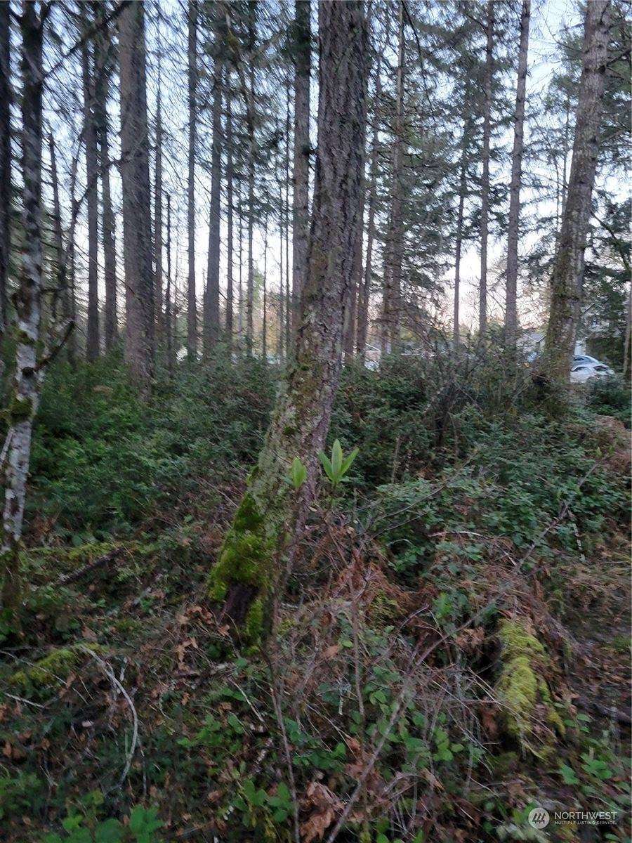 1.73 Acres of Residential Land for Sale in Grapeview, Washington