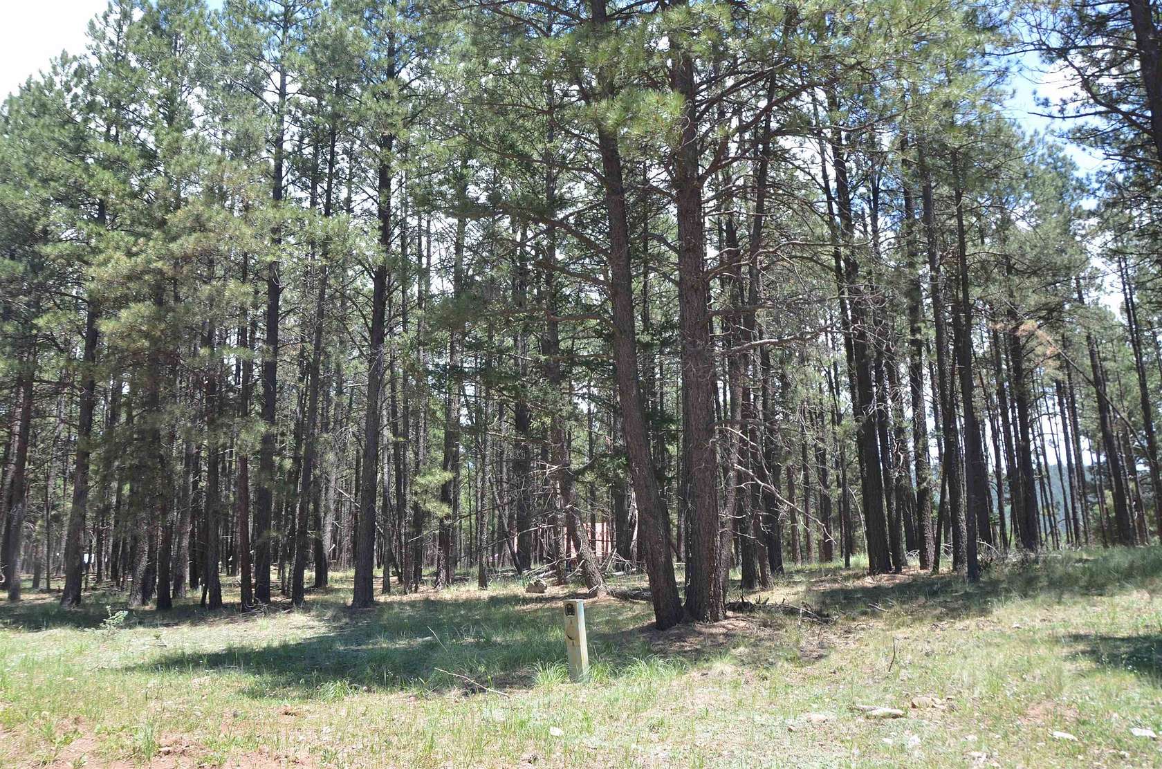0.51 Acres of Residential Land for Sale in Angel Fire, New Mexico
