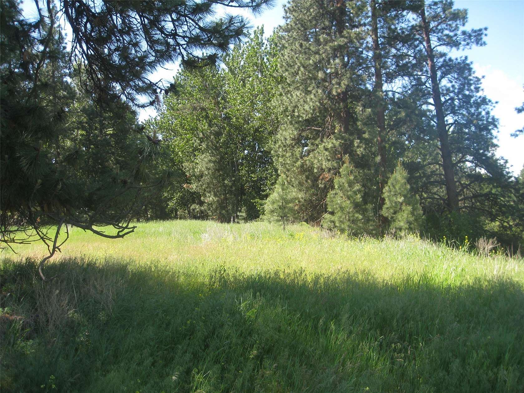 10.15 Acres of Land for Sale in Stevensville, Montana