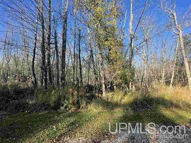 0.26 Acres of Residential Land for Sale in Stephenson, Michigan