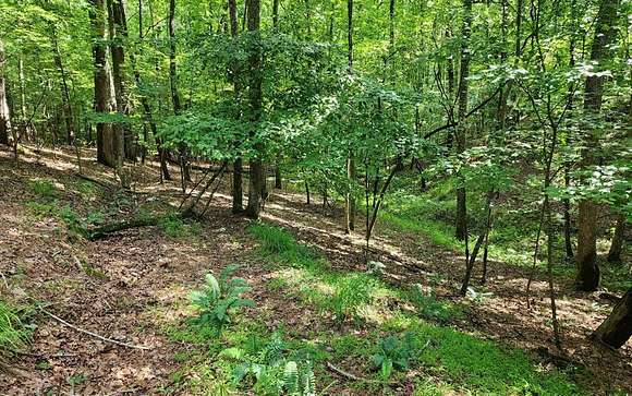 0.63 Acres of Residential Land for Sale in Ellijay, Georgia