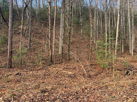 1.64 Acres of Land for Sale in Murphy, North Carolina