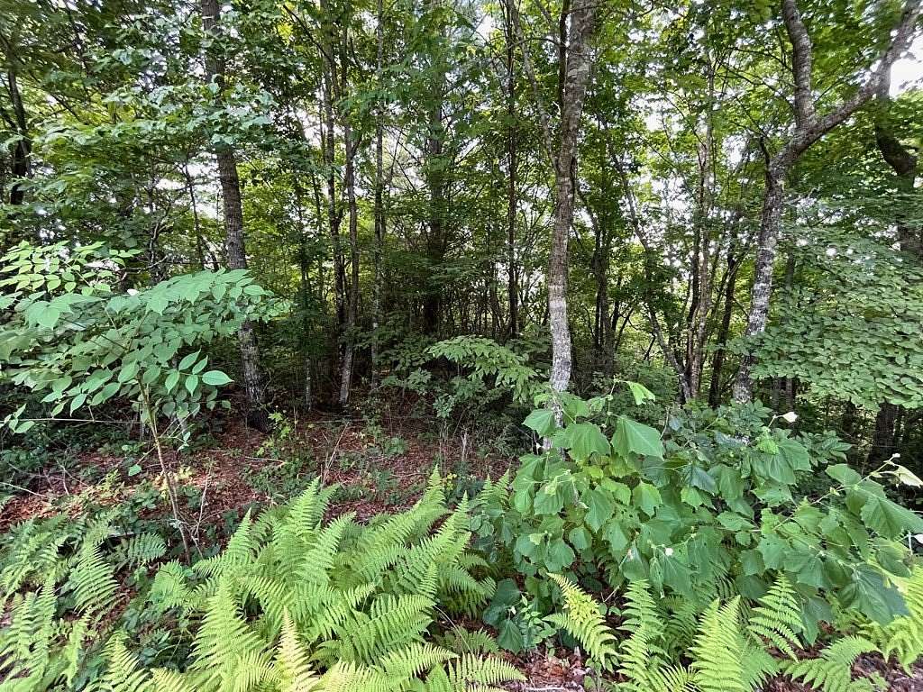 1.47 Acres of Land for Sale in Hiawassee, Georgia