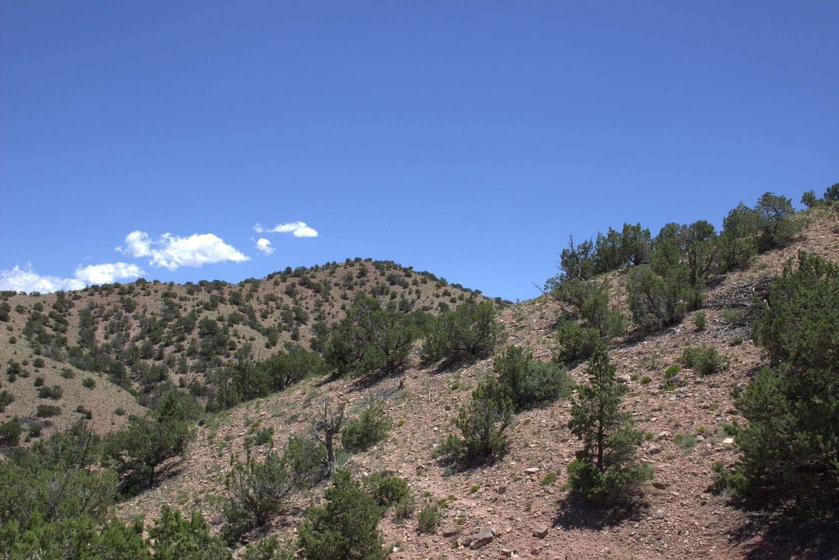 1.48 Acres of Residential Land for Sale in Placitas, New Mexico