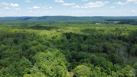 14.89 Acres of Land for Sale in Cairo, New York