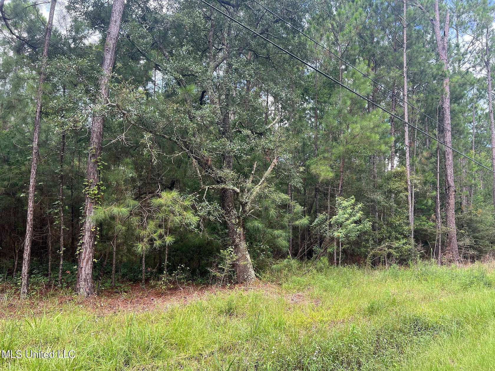 1.5 Acres of Residential Land for Sale in Bay St. Louis, Mississippi