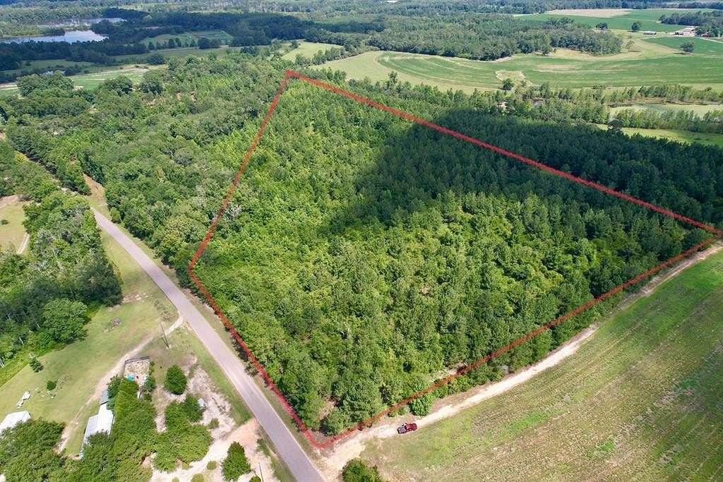 31.34 Acres of Recreational Land for Sale in Hartford, Alabama