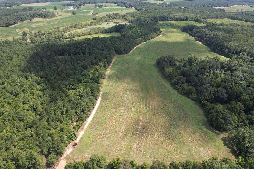 58.02 Acres of Recreational Land for Sale in Hartford, Alabama