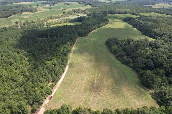 58.02 Acres of Recreational Land for Sale in Hartford, Alabama