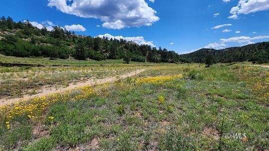 7.57 Acres of Residential Land for Sale in Cotopaxi, Colorado