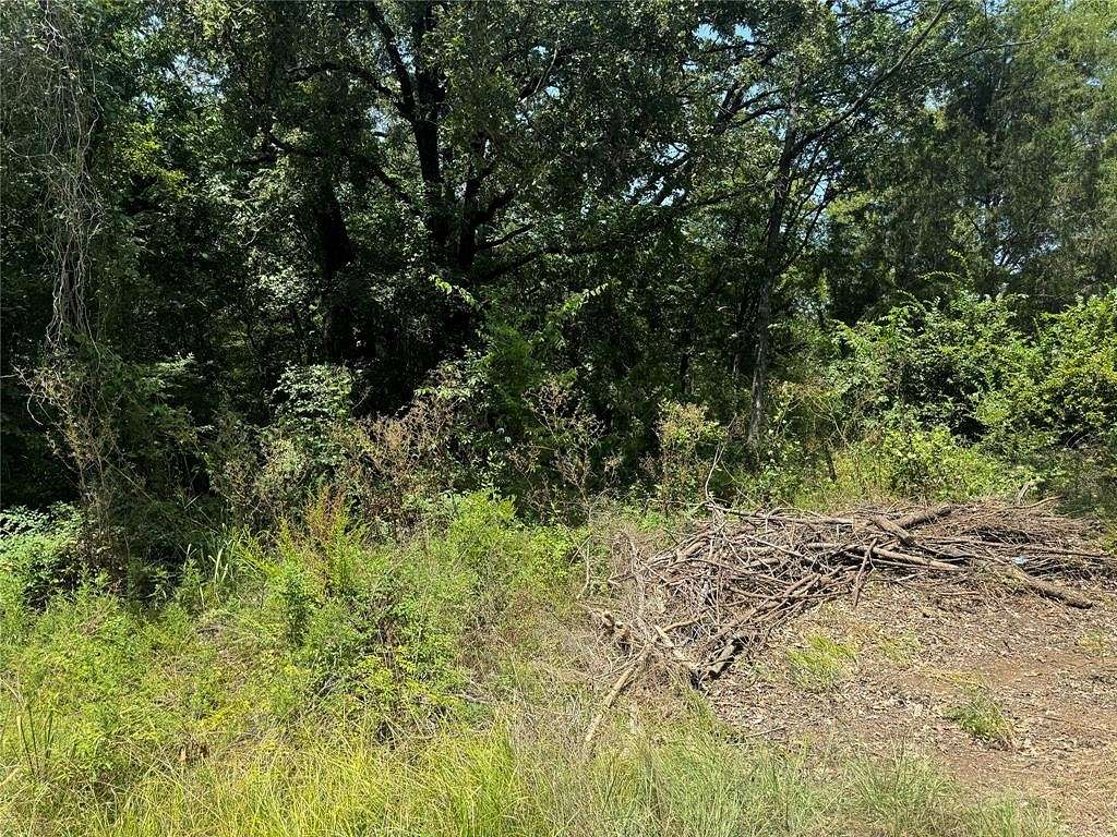 0.113 Acres of Residential Land for Sale in Trinidad, Texas