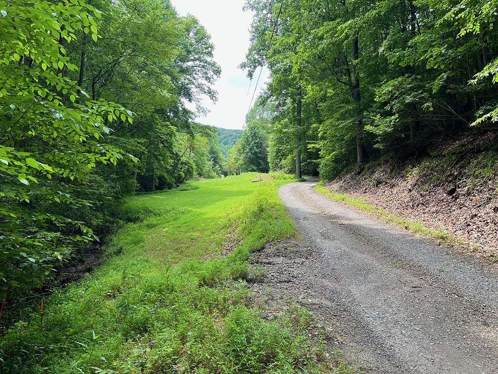 33.4 Acres of Recreational Land for Sale in Brasstown, North Carolina