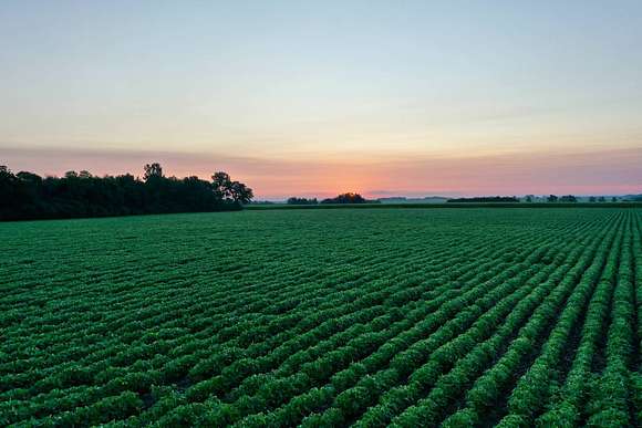 81 Acres of Agricultural Land with Home for Sale in Plainfield, Iowa