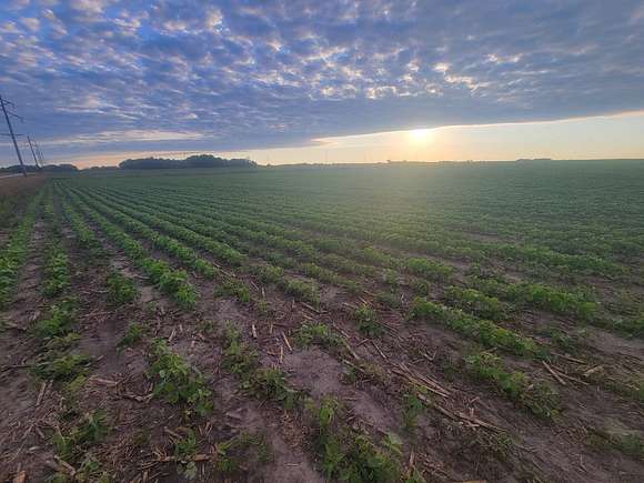 260 Acres of Agricultural Land for Sale in Austin, Minnesota