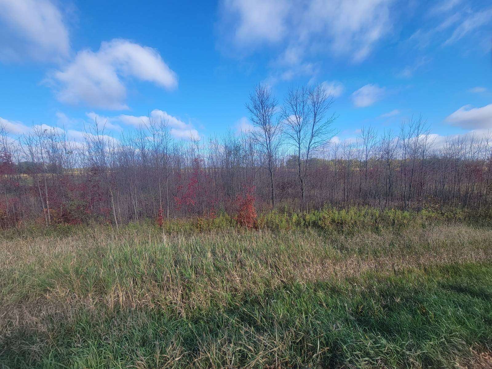 16.2 Acres of Recreational Land for Sale in Austin, Minnesota