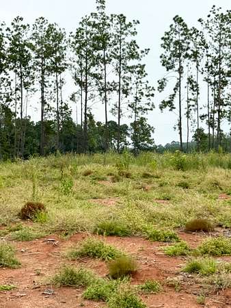 0.42 Acres of Residential Land for Sale in Florien, Louisiana