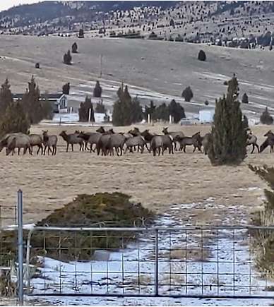 19.22 Acres of Land with Home for Sale in Butte, Montana