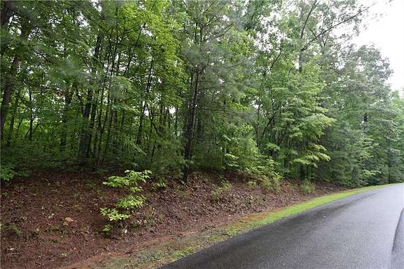 1 Acre of Residential Land for Sale in Ellijay, Georgia