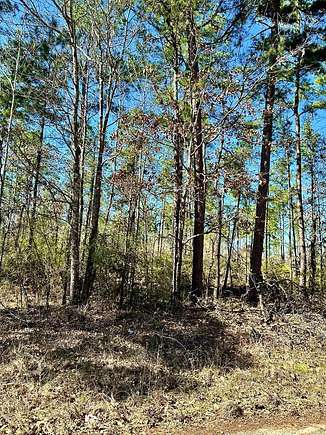 11.42 Acres of Land for Sale in Lufkin, Texas