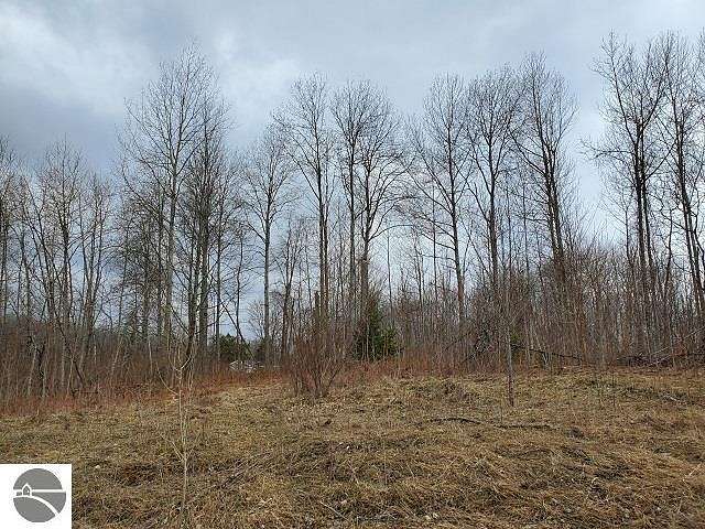 0.92 Acres of Residential Land for Sale in Hale, Michigan