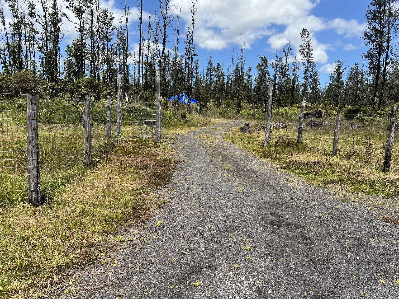 3 Acres of Land for Sale in Mountain View, Hawaii