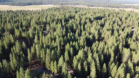 1.32 Acres of Land for Sale in Chiloquin, Oregon