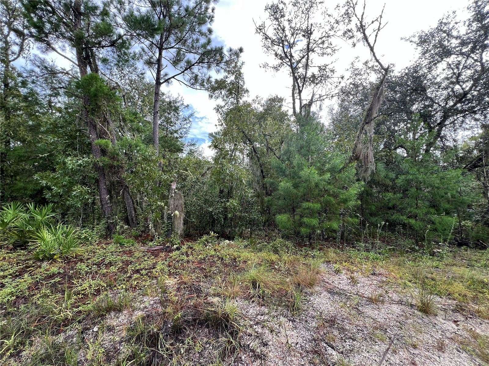 0.52 Acres of Residential Land for Sale in Florahome, Florida