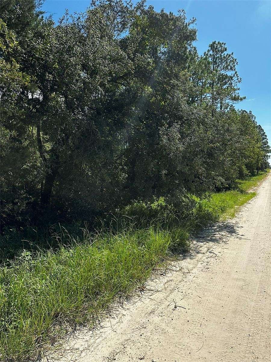 1.25 Acres of Residential Land for Sale in Williston, Florida