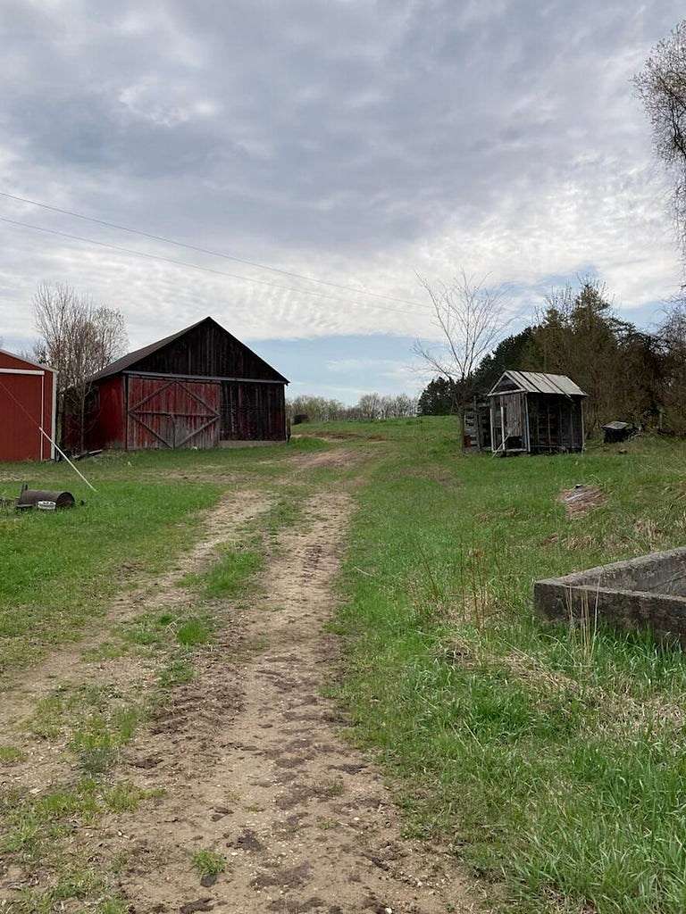 536 Acres of Agricultural Land for Sale in Mesick, Michigan