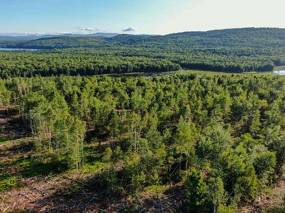 242 Acres of Recreational Land & Farm for Sale in Guilford, Maine