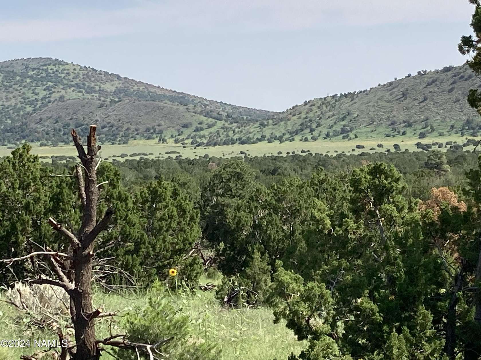 10 Acres of Recreational Land for Sale in Flagstaff, Arizona