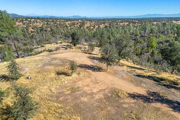 20 Acres of Land for Sale in Igo, California