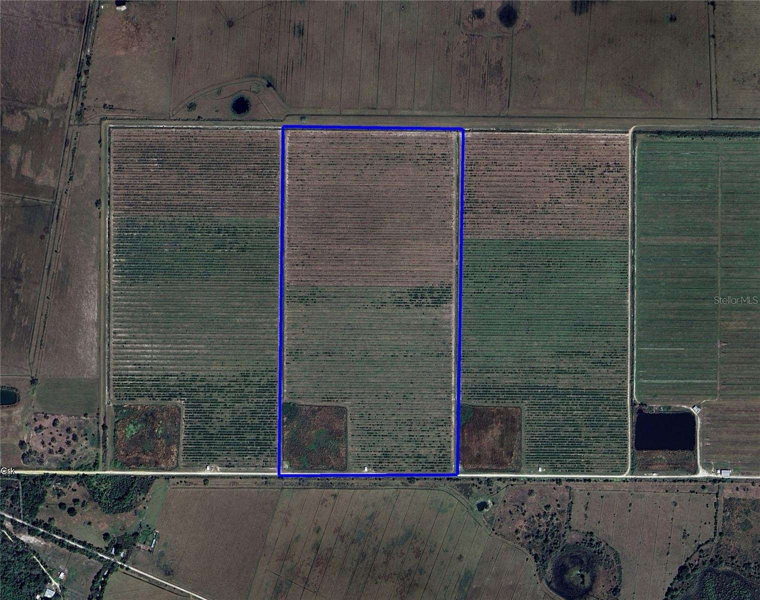 80 Acres of Agricultural Land for Sale in Arcadia, Florida