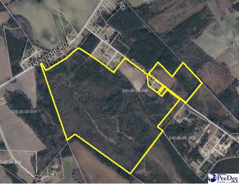 230.36 Acres of Recreational Land for Sale in Dillon, South Carolina