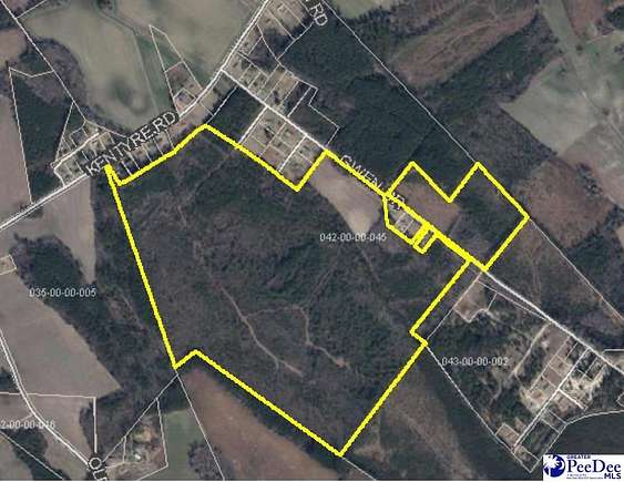 230.36 Acres of Recreational Land for Sale in Dillon, South Carolina